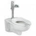 American Standard 3351.660.020 Afwall Universal Floor Mount Toilet Bowl with Everclean and 1.6 Gpf Selectronic Flush Valve - B004YKAENU